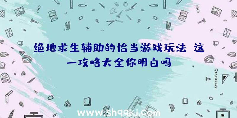 绝地求生辅助的恰当游戏玩法，这一攻略大全你明白吗？