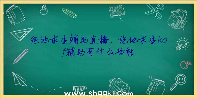 绝地求生辅助直播、绝地求生kof辅助有什么功能