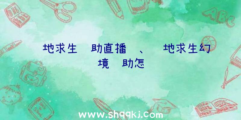 绝地求生辅助直播间、绝地求生幻境辅助怎