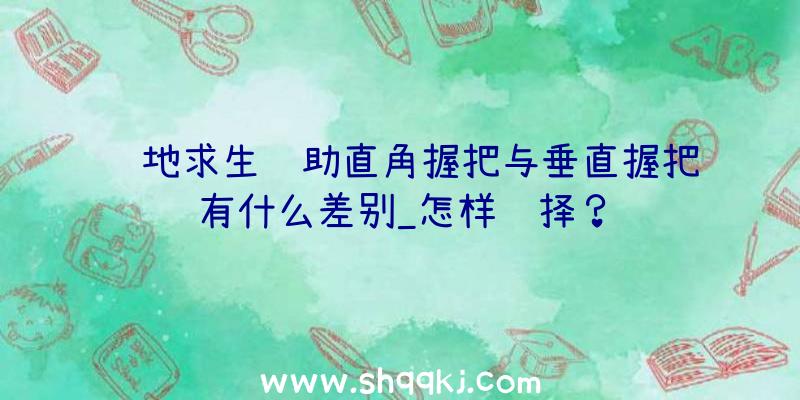 绝地求生辅助直角握把与垂直握把有什么差别_怎样选择？