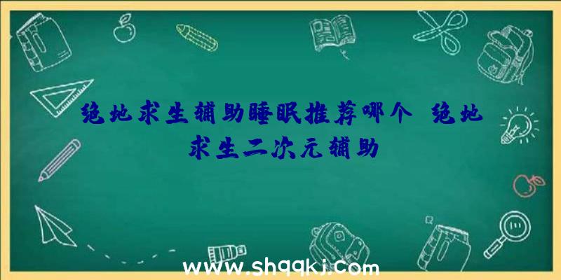 绝地求生辅助睡眠推荐哪个、绝地求生二次元辅助