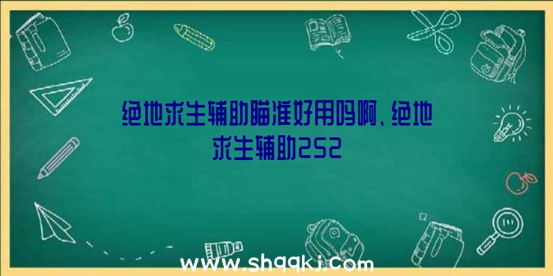 绝地求生辅助瞄准好用吗啊、绝地求生辅助252