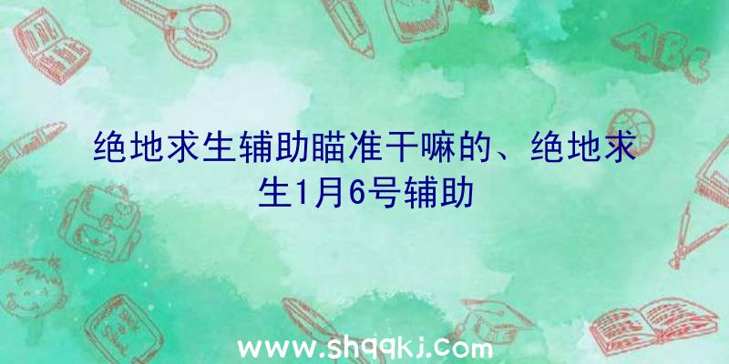 绝地求生辅助瞄准干嘛的、绝地求生1月6号辅助