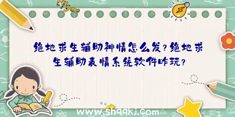 绝地求生辅助神情怎么发？绝地求生辅助表情系统软件咋玩？