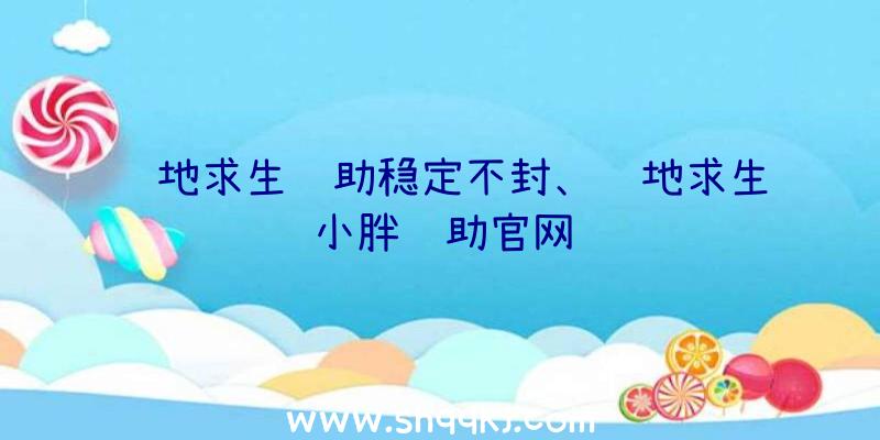 绝地求生辅助稳定不封、绝地求生小胖辅助官网