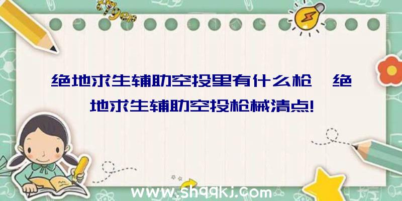 绝地求生辅助空投里有什么枪,绝地求生辅助空投枪械清点!