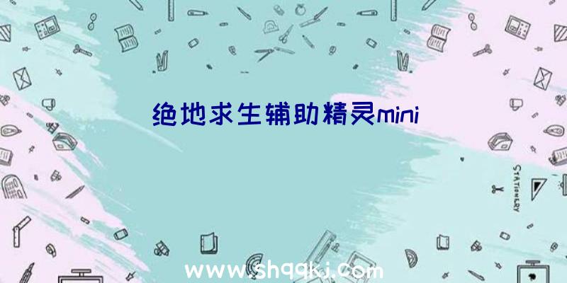 绝地求生辅助精灵mini