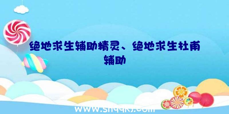 绝地求生辅助精灵、绝地求生杜甫辅助