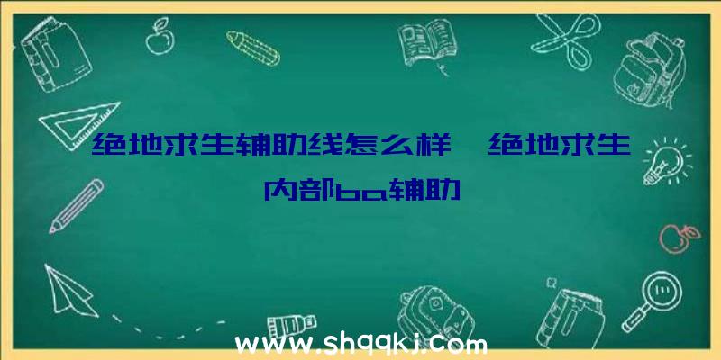 绝地求生辅助线怎么样、绝地求生内部ba辅助