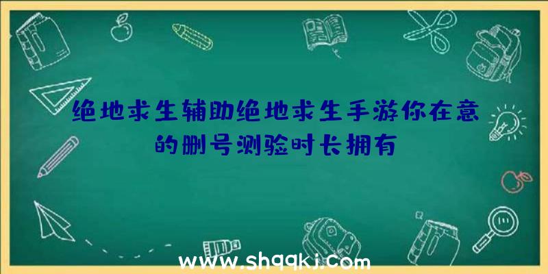 绝地求生辅助绝地求生手游你在意的删号测验时长拥有