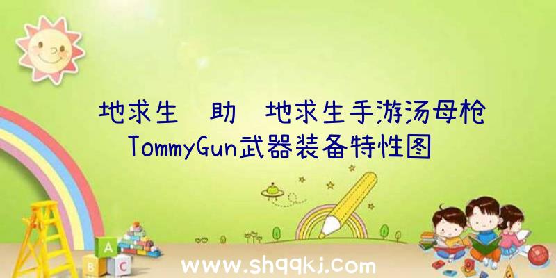 绝地求生辅助绝地求生手游汤母枪TommyGun武器装备特性图签