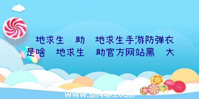 绝地求生辅助绝地求生手游防弹衣是啥绝地求生辅助官方网站黑话大全