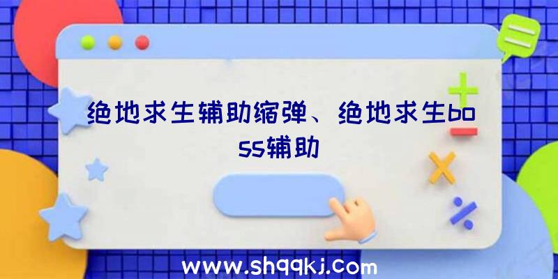 绝地求生辅助缩弹、绝地求生boss辅助