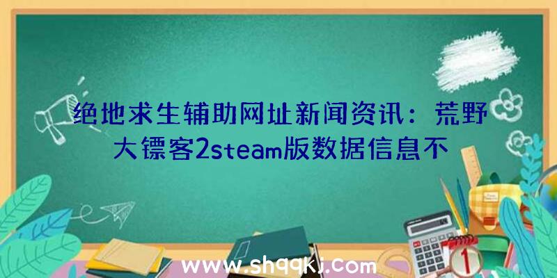 绝地求生辅助网址新闻资讯：荒野大镖客2steam版数据信息不佳