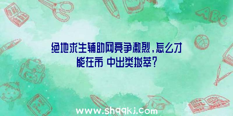 绝地求生辅助网竞争激烈，怎么才能在市場中出类拔萃？