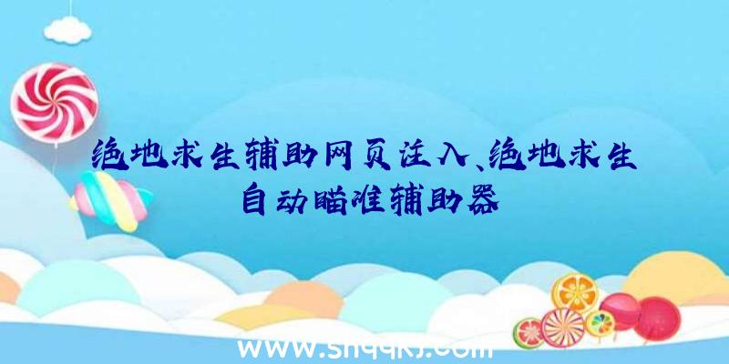 绝地求生辅助网页注入、绝地求生自动瞄准辅助器