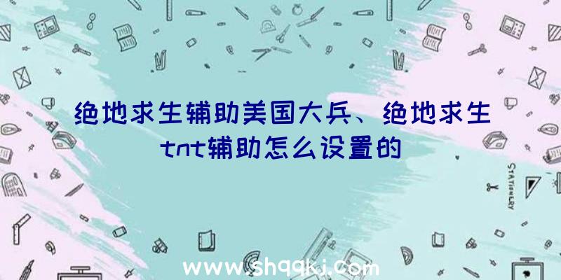 绝地求生辅助美国大兵、绝地求生tnt辅助怎么设置的