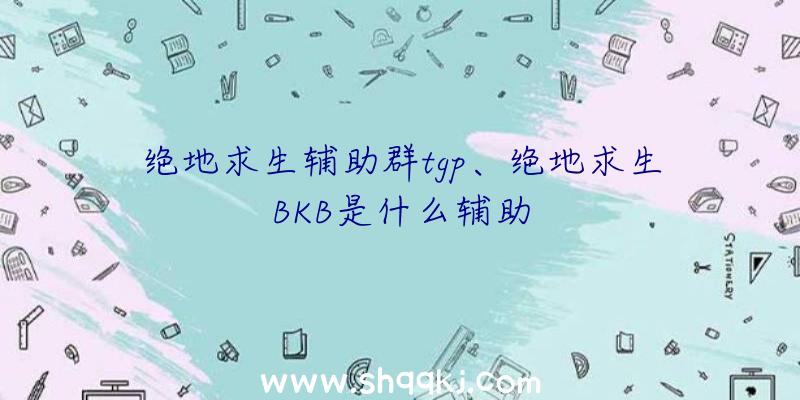 绝地求生辅助群tgp、绝地求生BKB是什么辅助