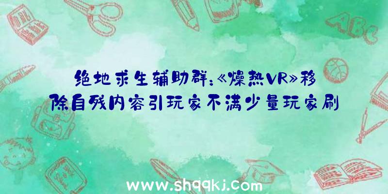 绝地求生辅助群：《燥热VR》移除自残内容引玩家不满少量玩家刷差评招致触发防差评轰炸