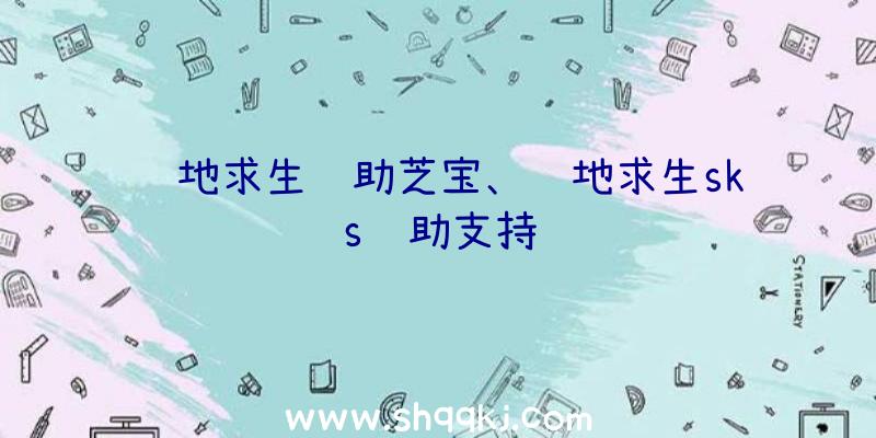 绝地求生辅助芝宝、绝地求生sks辅助支持