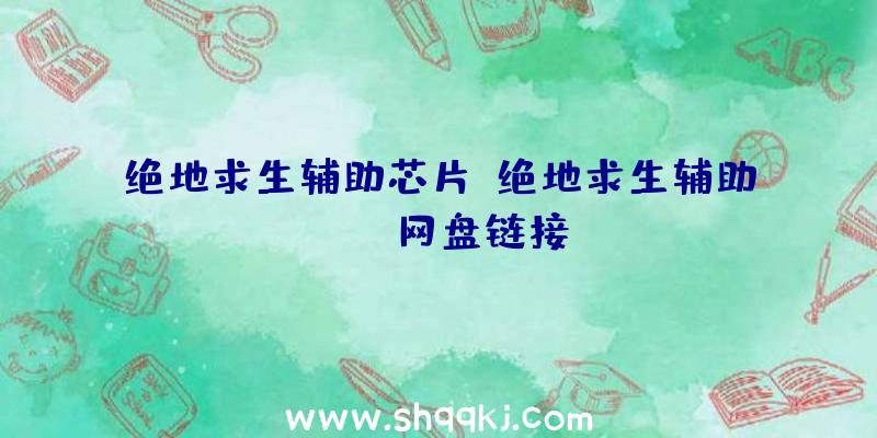 绝地求生辅助芯片、绝地求生辅助pubg网盘链接