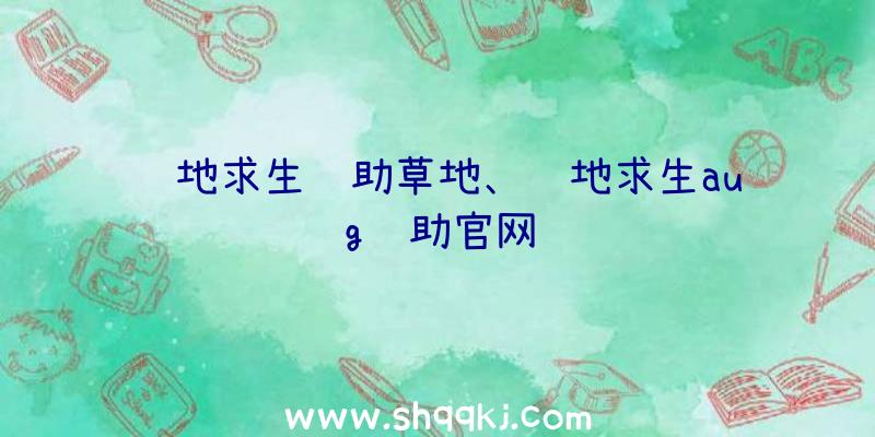 绝地求生辅助草地、绝地求生aug辅助官网