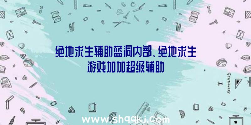 绝地求生辅助蓝洞内部、绝地求生游戏加加超级辅助