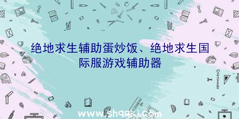 绝地求生辅助蛋炒饭、绝地求生国际服游戏辅助器