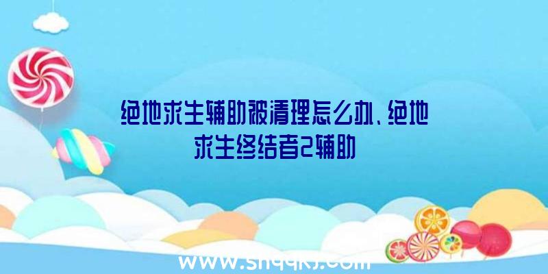 绝地求生辅助被清理怎么办、绝地求生终结者2辅助