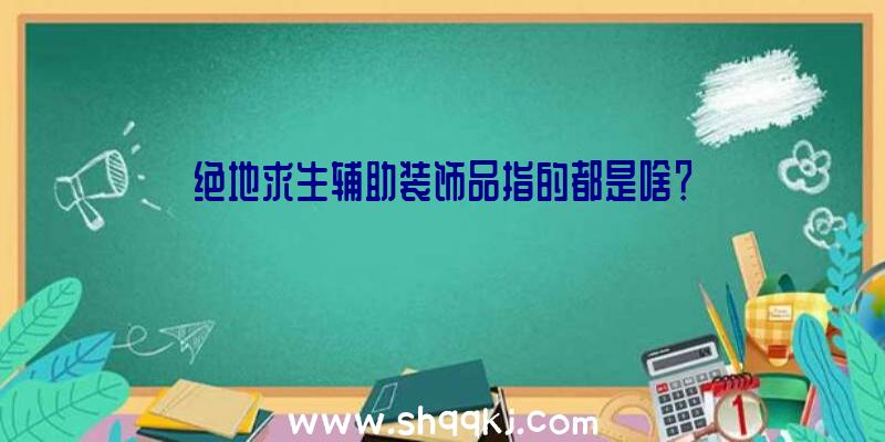 绝地求生辅助装饰品指的都是啥？