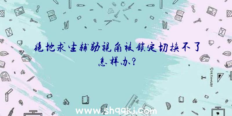 绝地求生辅助视角被锁定切换不了怎样办？