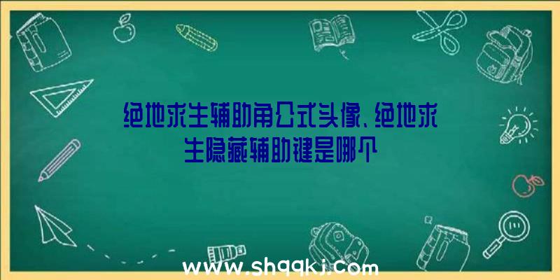 绝地求生辅助角公式头像、绝地求生隐藏辅助键是哪个