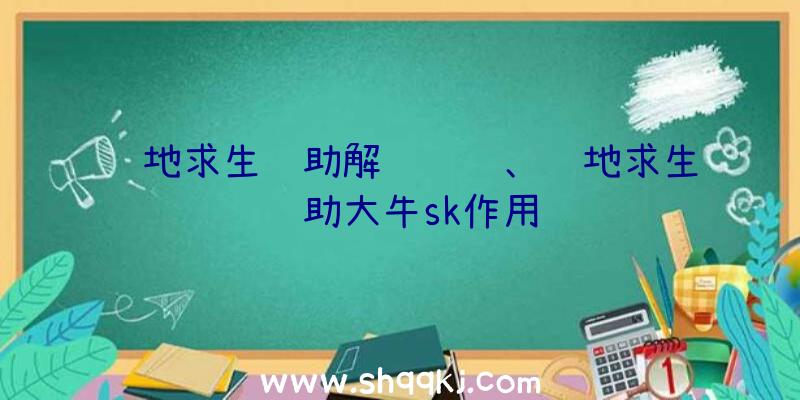 绝地求生辅助解绑问题、绝地求生辅助大牛sk作用