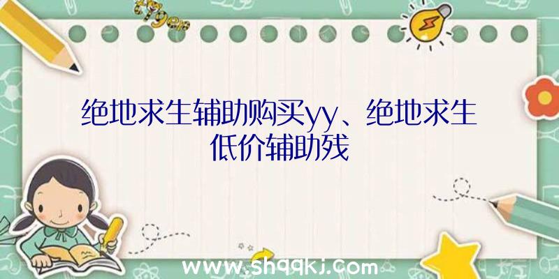 绝地求生辅助购买yy、绝地求生低价辅助残