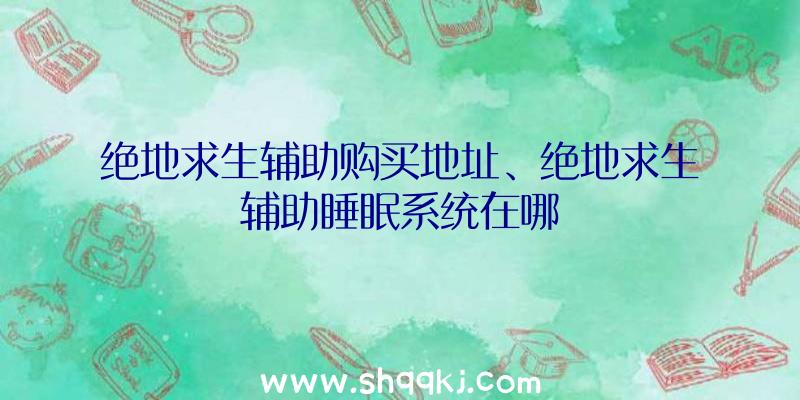 绝地求生辅助购买地址、绝地求生辅助睡眠系统在哪