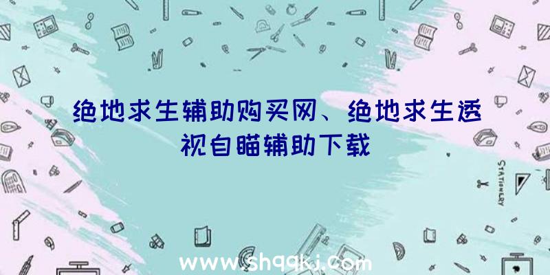 绝地求生辅助购买网、绝地求生透视自瞄辅助下载