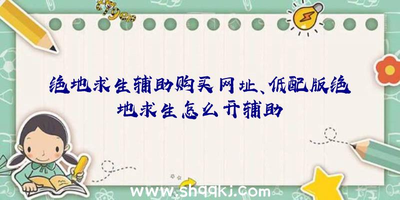 绝地求生辅助购买网址、低配版绝地求生怎么开辅助