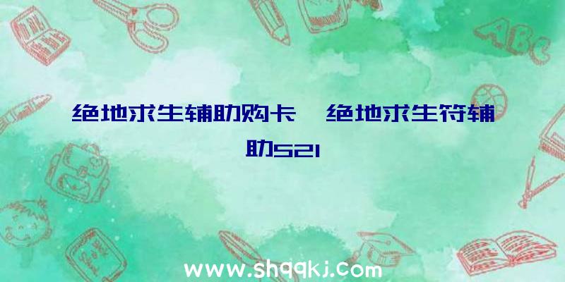 绝地求生辅助购卡、绝地求生符辅助521