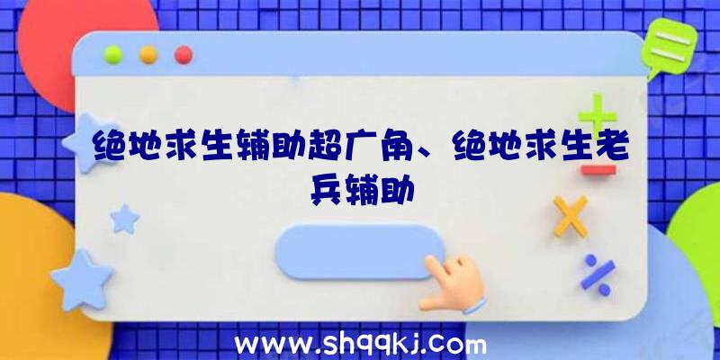 绝地求生辅助超广角、绝地求生老兵辅助