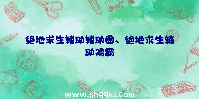 绝地求生辅助辅助圈、绝地求生辅助鸡霸