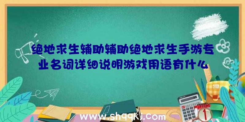 绝地求生辅助辅助绝地求生手游专业名词详细说明游戏用语有什么