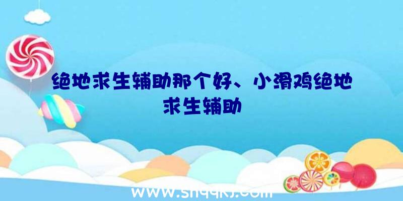 绝地求生辅助那个好、小滑鸡绝地求生辅助