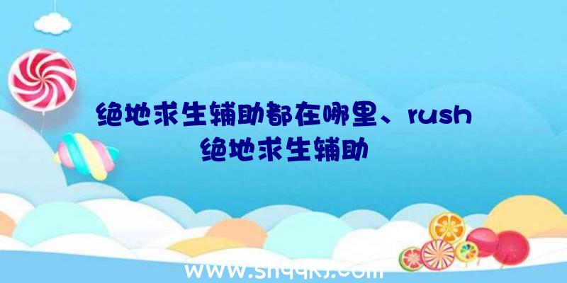 绝地求生辅助都在哪里、rush绝地求生辅助