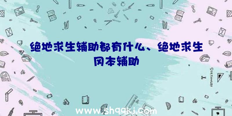 绝地求生辅助都有什么、绝地求生冈本辅助