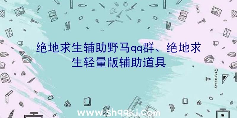 绝地求生辅助野马qq群、绝地求生轻量版辅助道具