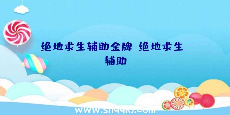 绝地求生辅助金牌、绝地求生ok辅助