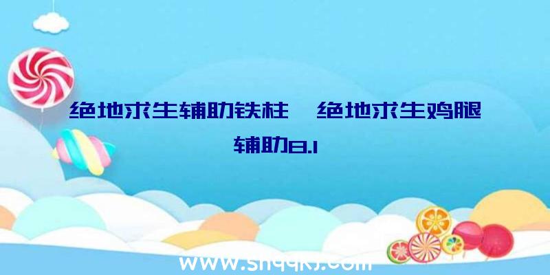 绝地求生辅助铁柱、绝地求生鸡腿辅助8.1