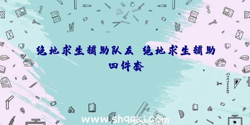 绝地求生辅助队友、绝地求生辅助四件套