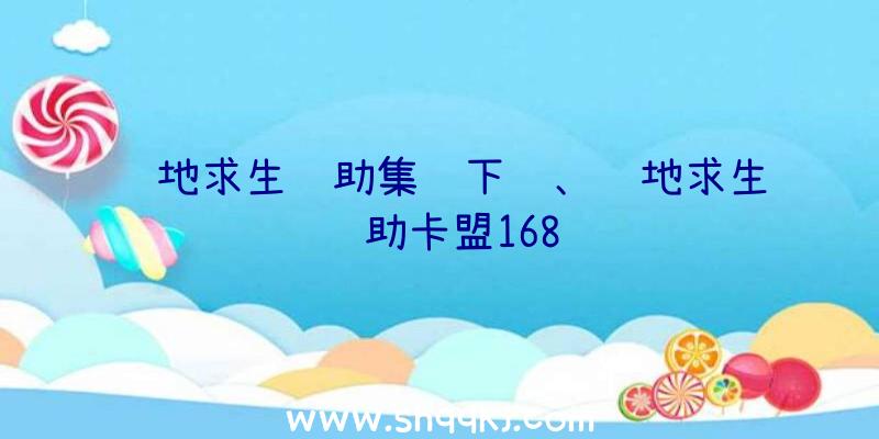 绝地求生辅助集锦下载、绝地求生辅助卡盟168