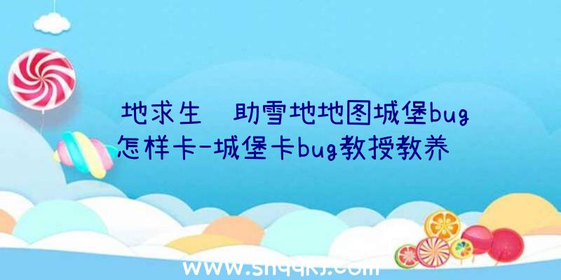 绝地求生辅助雪地地图城堡bug怎样卡-城堡卡bug教授教养